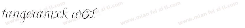 tangeramxk w01字体转换